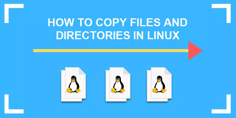 Copy file Linux – Các phương pháp và câu lệnh | Việt Nét