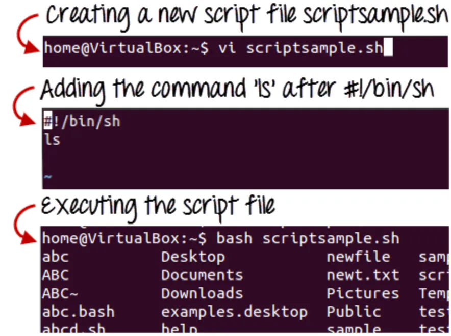 Hướng dẫn cách tạo Shell Script Linux | Việt Nét