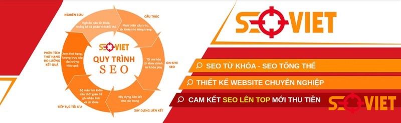 Dịch vụ Seo Đà Nẵng Seo Việt giúp gì cho bạn